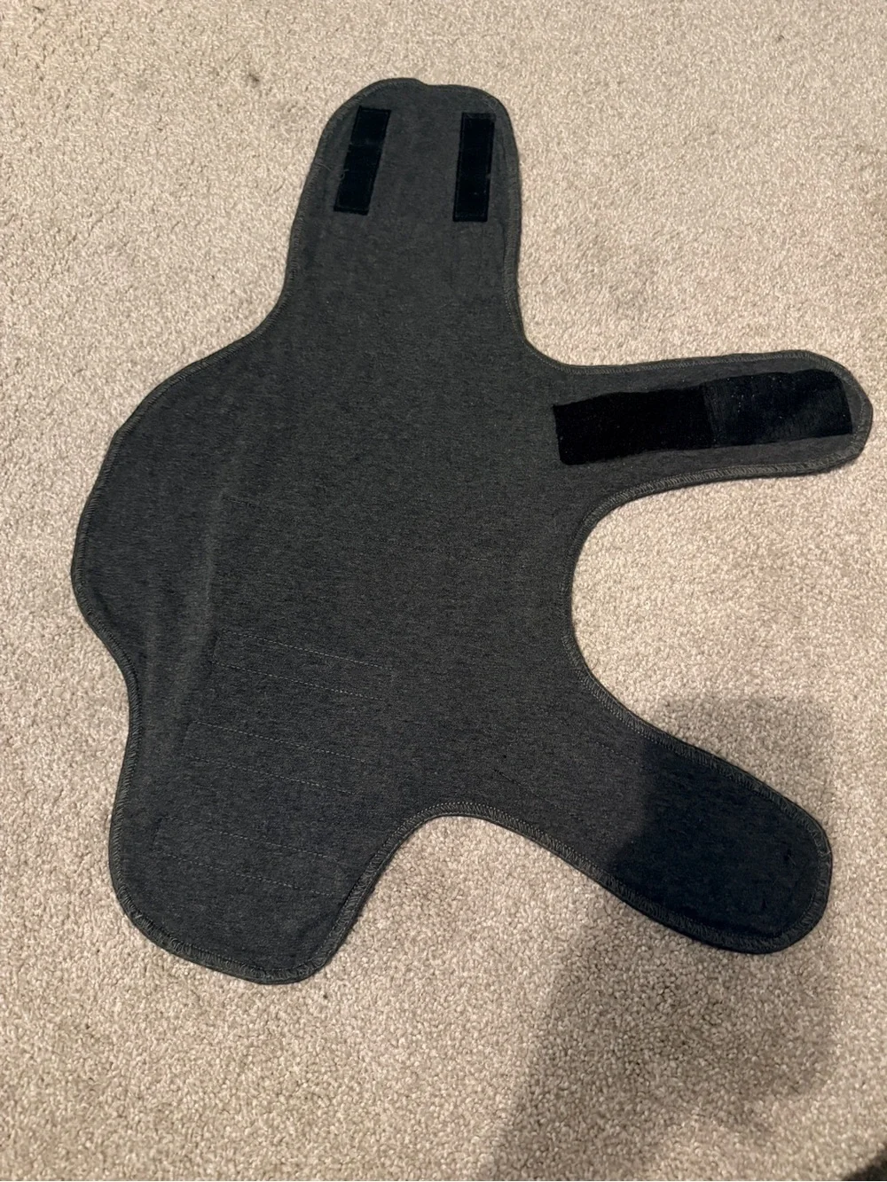 Thundershirt dog anxiety